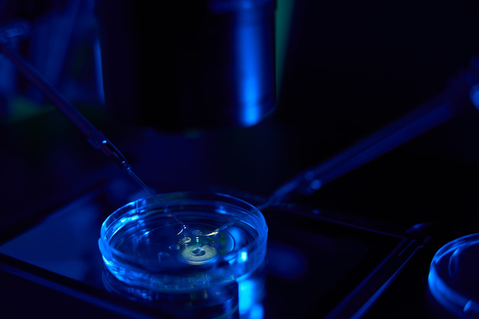 Testicular Sperm Extraction: Your Questions, Answered